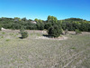 Ma-Cabane - Vente Terrain PLAISSAN, 5440 m²