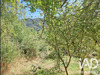 Ma-Cabane - Vente Terrain Plan-d'Aups-Sainte-Baume, 1592 m²