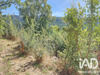 Ma-Cabane - Vente Terrain Plan-d'Aups-Sainte-Baume, 1592 m²