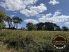 Ma-Cabane - Vente Terrain Plomeur, 2400 m²