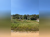 Ma-Cabane - Vente Terrain POGGIO-MEZZANA, 886 m²
