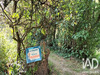 Ma-Cabane - Vente Terrain Poitiers, 596 m²