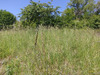 Ma-Cabane - Vente Terrain PONT-A-MOUSSON, 1553 m²
