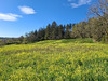 Ma-Cabane - Vente Terrain Pont-de-Larn, 3200 m²