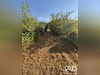 Ma-Cabane - Vente Terrain Pont-de-Larn, 2100 m²