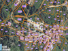 Ma-Cabane - Vente Terrain PORRI, 685 m²