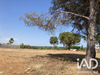 Ma-Cabane - Vente Terrain Portiragnes, 524 m²