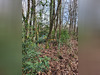 Ma-Cabane - Vente Terrain Presly, 7200 m²