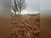 Ma-Cabane - Vente Terrain PROUVAIS, 745 m²