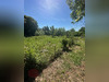 Ma-Cabane - Vente Terrain PUIMISSON, 900 m²