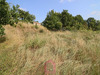 Ma-Cabane - Vente Terrain Puy-l'Évêque, 675 m²