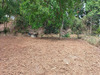 Ma-Cabane - Vente Terrain PUYCASQUIER, 603 m²