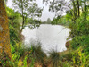 Ma-Cabane - Vente Terrain PUYCASQUIER, 400000 m²