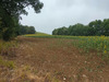 Ma-Cabane - Vente Terrain PUYCASQUIER, 400000 m²