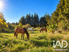Ma-Cabane - Vente Terrain Quarante, 2430 m²