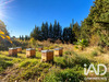 Ma-Cabane - Vente Terrain Quarante, 2430 m²