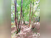 Ma-Cabane - Vente Terrain Queaux, 7548 m²