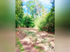 Ma-Cabane - Vente Terrain Queaux, 7548 m²