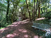 Ma-Cabane - Vente Terrain QUIMPER, 4880 m²