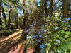 Ma-Cabane - Vente Terrain QUIMPER, 4880 m²