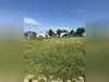 Ma-Cabane - Vente Terrain QUINCAMPOIX, 645 m²