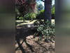 Ma-Cabane - Vente Terrain Rabastens, 0 m²
