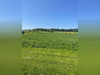 Ma-Cabane - Vente Terrain Rantzwiller, 1057 m²