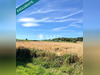 Ma-Cabane - Vente Terrain Rantzwiller, 700 m²