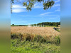 Ma-Cabane - Vente Terrain Rantzwiller, 700 m²