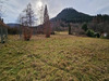 Ma-Cabane - Vente Terrain Raon-sur-Plaine, 1161 m²