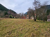 Ma-Cabane - Vente Terrain Raon-sur-Plaine, 1161 m²