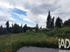Ma-Cabane - Vente Terrain Razès, 1569 m²