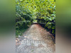 Ma-Cabane - Vente Terrain REIMS, 4900 m²