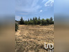 Ma-Cabane - Vente Terrain Revest-du-Bion, 3175 m²