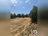 Ma-Cabane - Vente Terrain Revest-du-Bion, 3175 m²
