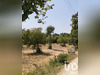Ma-Cabane - Vente Terrain Revest-du-Bion, 3175 m²