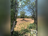 Ma-Cabane - Vente Terrain Revest-du-Bion, 3175 m²