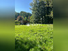 Ma-Cabane - Vente Terrain Ricquebourg, 1982 m²
