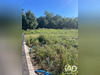 Ma-Cabane - Vente Terrain Rigarda, 335 m²
