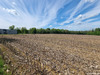 Ma-Cabane - Vente Terrain RIOZ, 6062 m²