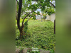 Ma-Cabane - Vente Terrain ROCHEFORT, 238 m²