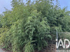 Ma-Cabane - Vente Terrain Romilly-sur-Seine, 2727 m²