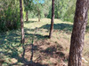 Ma-Cabane - Vente Terrain Roquebrune-sur-Argens, 921 m²