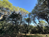 Ma-Cabane - Vente Terrain Roquebrune-sur-Argens, 10000 m²