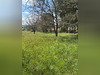 Ma-Cabane - Vente Terrain Rosieres, 1225 m²