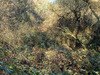 Ma-Cabane - Vente Terrain ROSNAY, 321594 m²