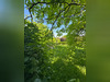 Ma-Cabane - Vente Terrain ROSNY-SOUS-BOIS, 330 m²