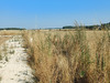 Ma-Cabane - Vente Terrain ROULLET SAINT ESTEPHE, 1180 m²