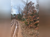 Ma-Cabane - Vente Terrain ROUMOULES, 37641 m²