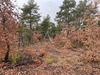 Ma-Cabane - Vente Terrain ROUMOULES, 37641 m²